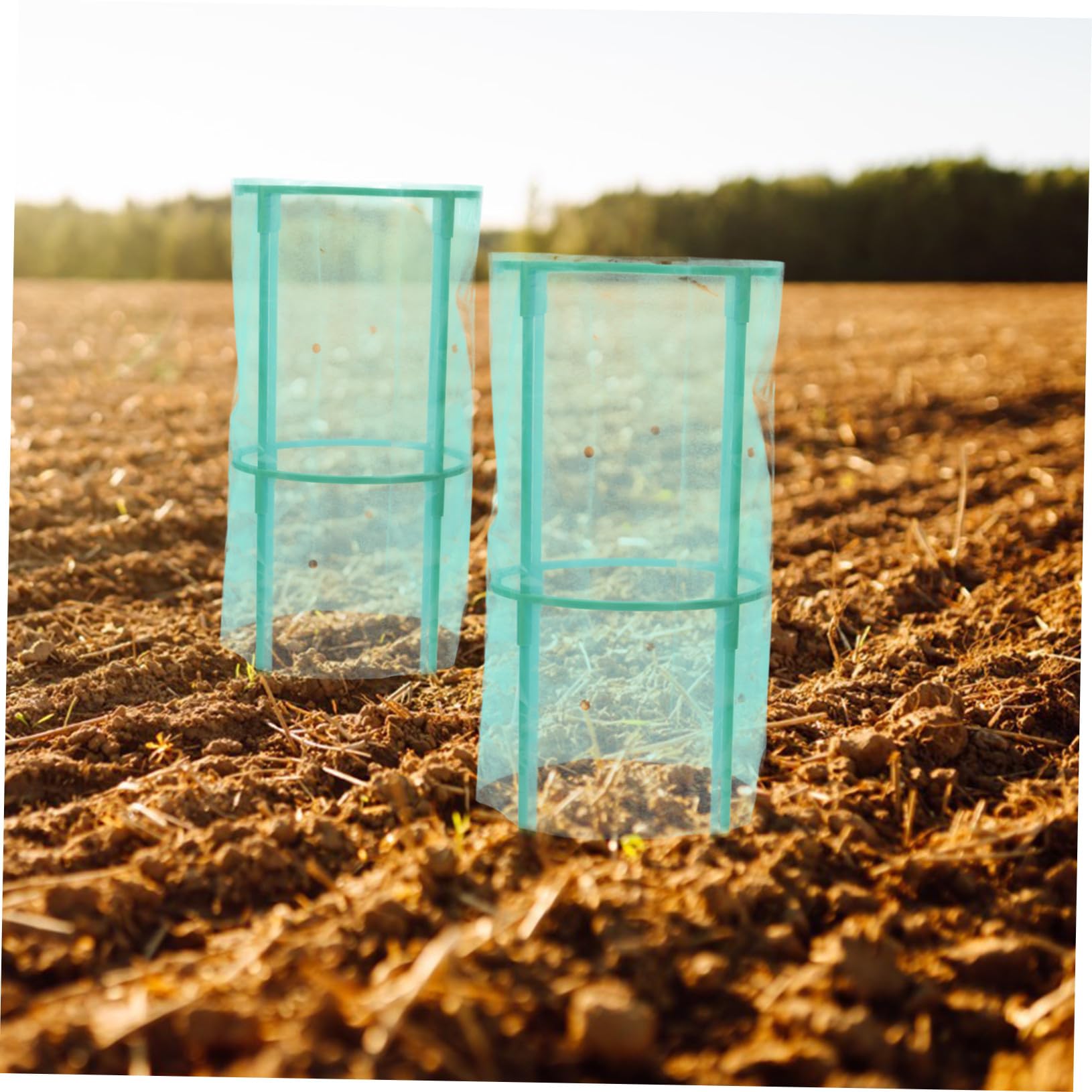 Copripiante da Giardino 2 Pezzi in Plastico Verde per Protezione Invernale | Aiuole Rialzate e Fiori, Copertura Contro Freddo e Gelo, Balconi e Casa