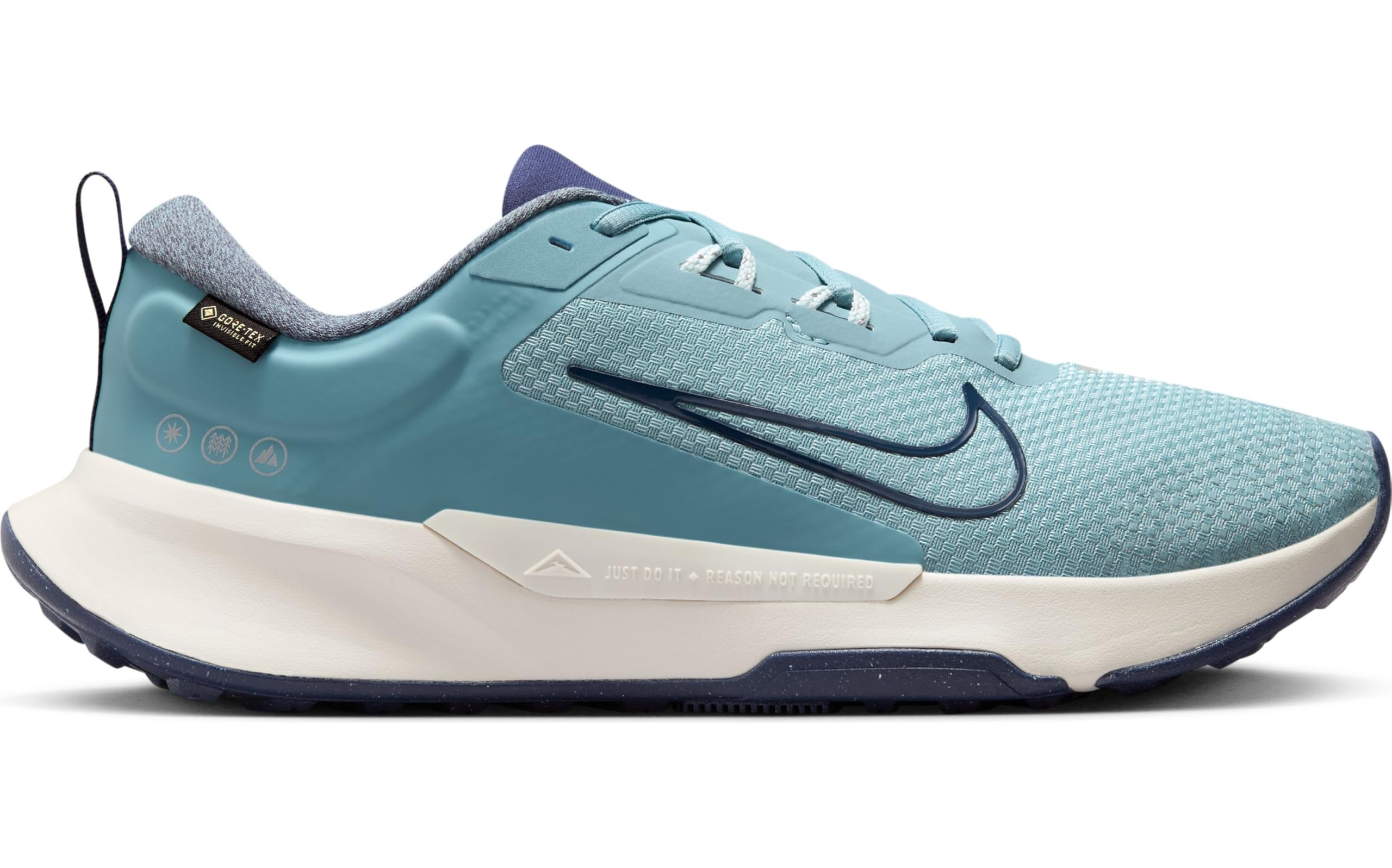 Nike Juniper Trail 2 GTX V2 Running ShoeHombre