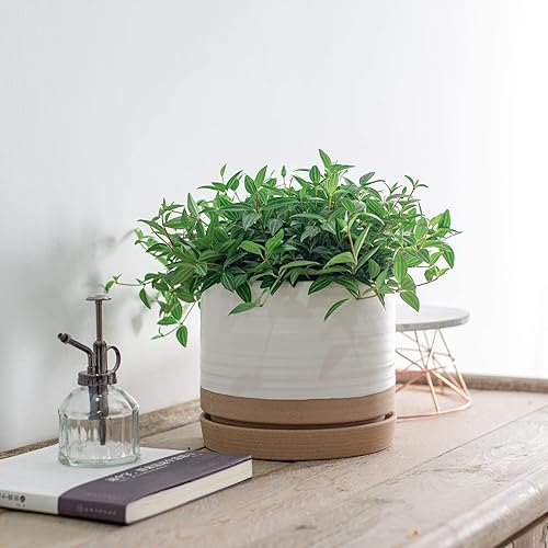 Miniatura 4 de HERDUK Macetas de 8 pulgadas para plantas, maceta de cerámica con orificio de drenaje y platillo, maceta redonda cilíndrica para interiores o