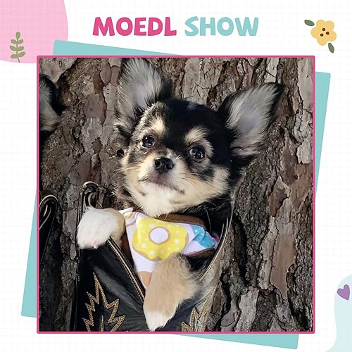 Miniatura 6 de HRTTSY Camisa para perros pequeños, linda camiseta de algodón suave sin mangas para perros pequeños, gatos, chaleco de verano para perritos,