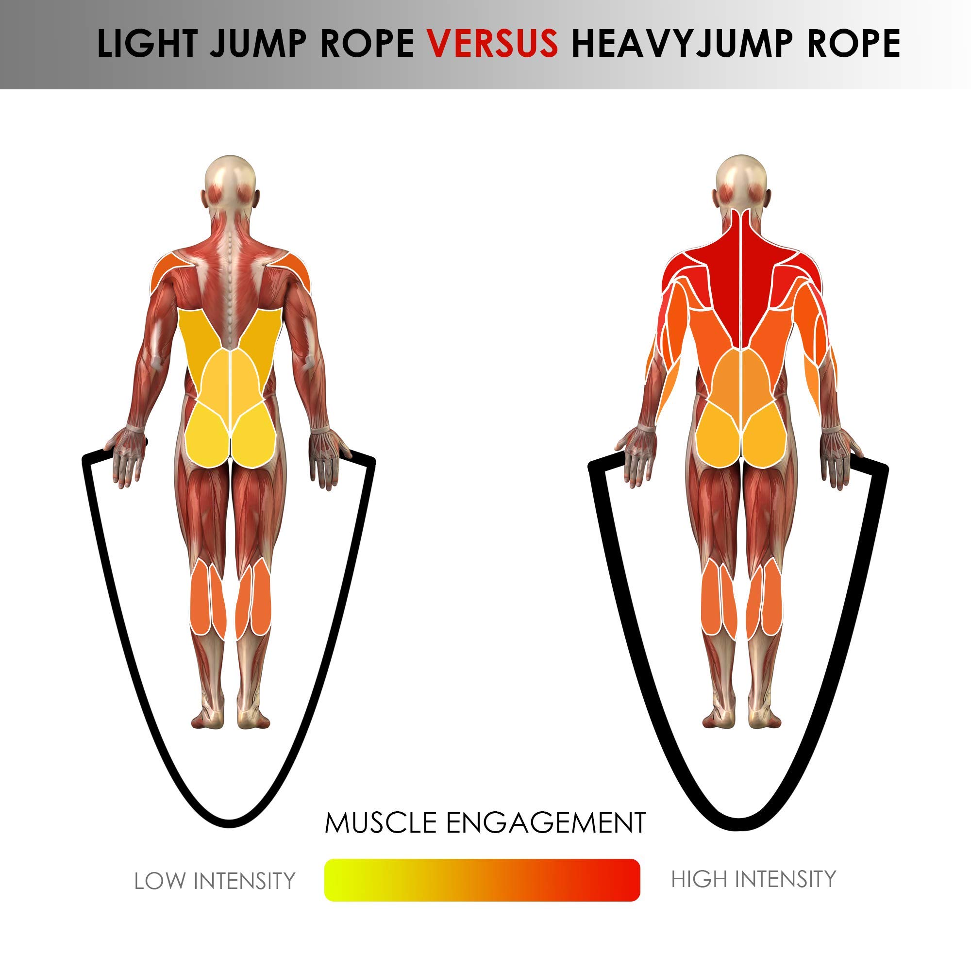 Benefits Jump Rope Fat Burning Battle Rope Workout Heavy Jump Rope