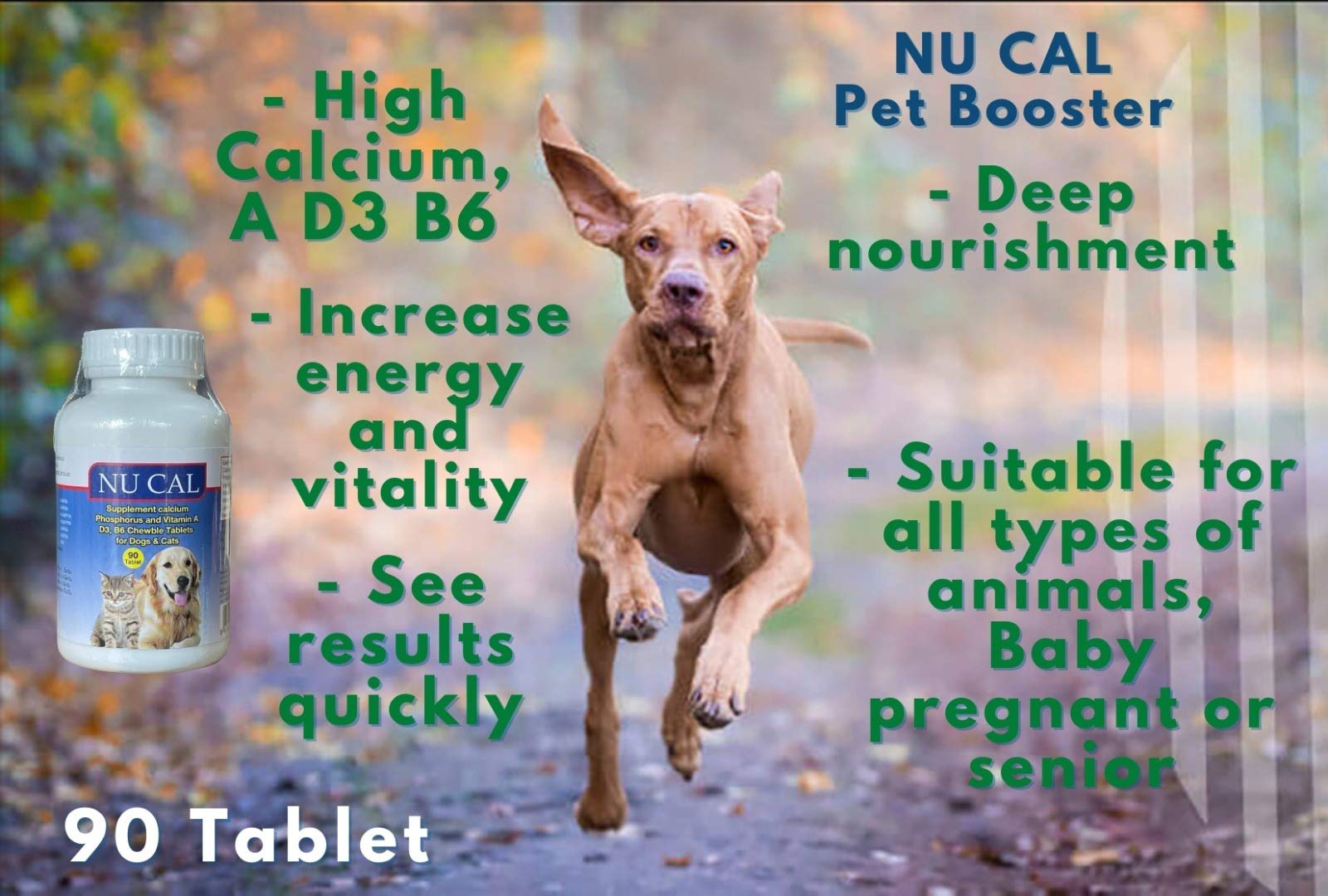 When Should I Give My Pregnant Dog Calcium
