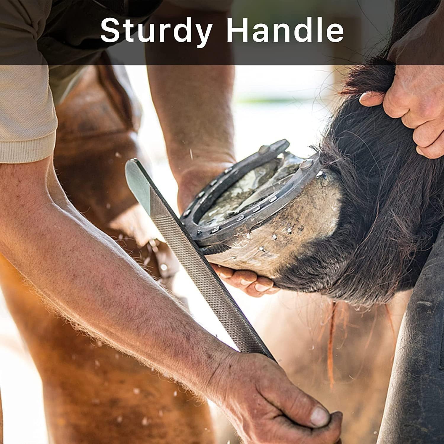 T12 Carbon Steel Horse Hoof Rasp - 8", 14" Professional Farrier Tool with Non-Slip Rubber Handle for Horse/Goat/Cow/Donkey/Animal Hooves (14 inch)