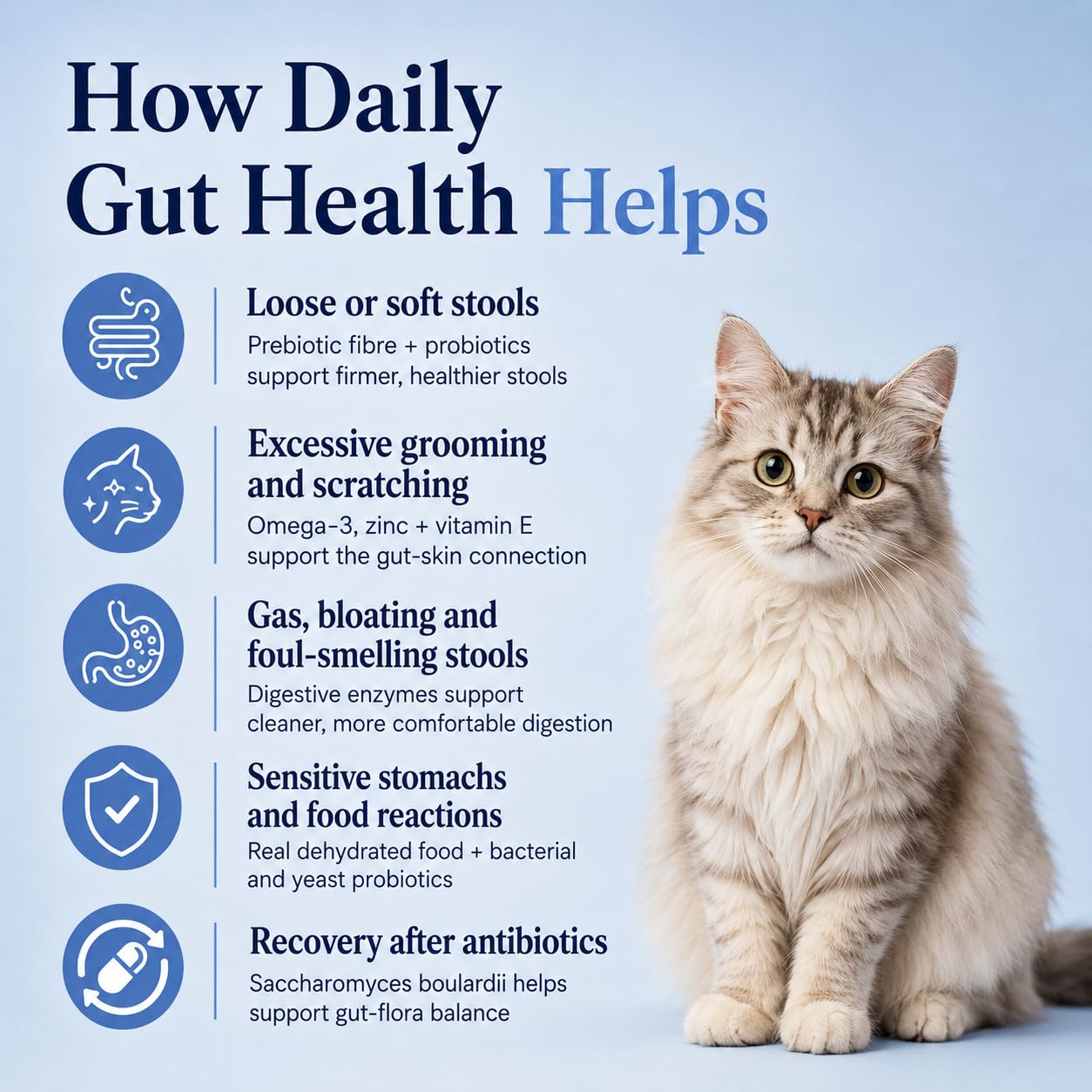 Cat Gut Health Supplement | Targeted Gut Health Support | 6 Billion CFU Probiotics for Loose Stools, Vomiting, Gas and Paw Licking | L-Methionine for Urinary Health | 300g — Amazon image 8