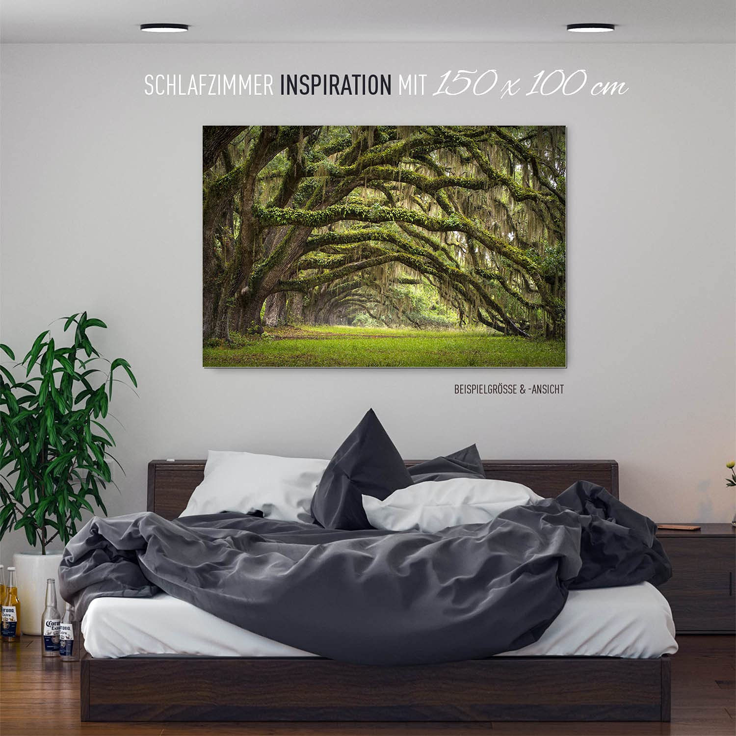 BilderKing Wandbild Baumallee Alte Eichen - 180cm x 120cm Alu-Dibond 3mm weiß + Rückrahmen