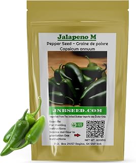 Jalapeno M Pepper Seeds (Approx. 60 Seeds-600MG) Fast-Growing, Fiery, and Flavorful for Your Garden