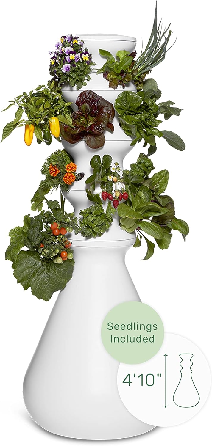 Lettuce Grow Farmstand Starter Kit + Seedlings 24 Plant