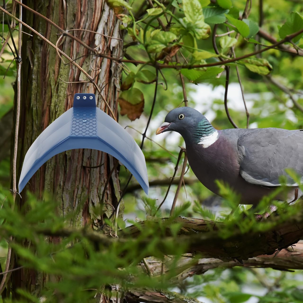 Alipis Posadero para Palomas De Plástico 30 Piezas Soportes De Descanso para Palomas con Orificio De Tornillo Base Redondeada Y Espacio para Jaulas De Pájaros Aves Y Loros