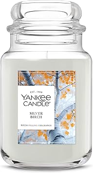 Yankee Candle Large Jar Scented Candle with up to 150 Hour Burn Time, Premium Plant Wax Blend for Consistent Burn, 22 oz Jar Candle with Room Filling Fragrance, Silver Birch