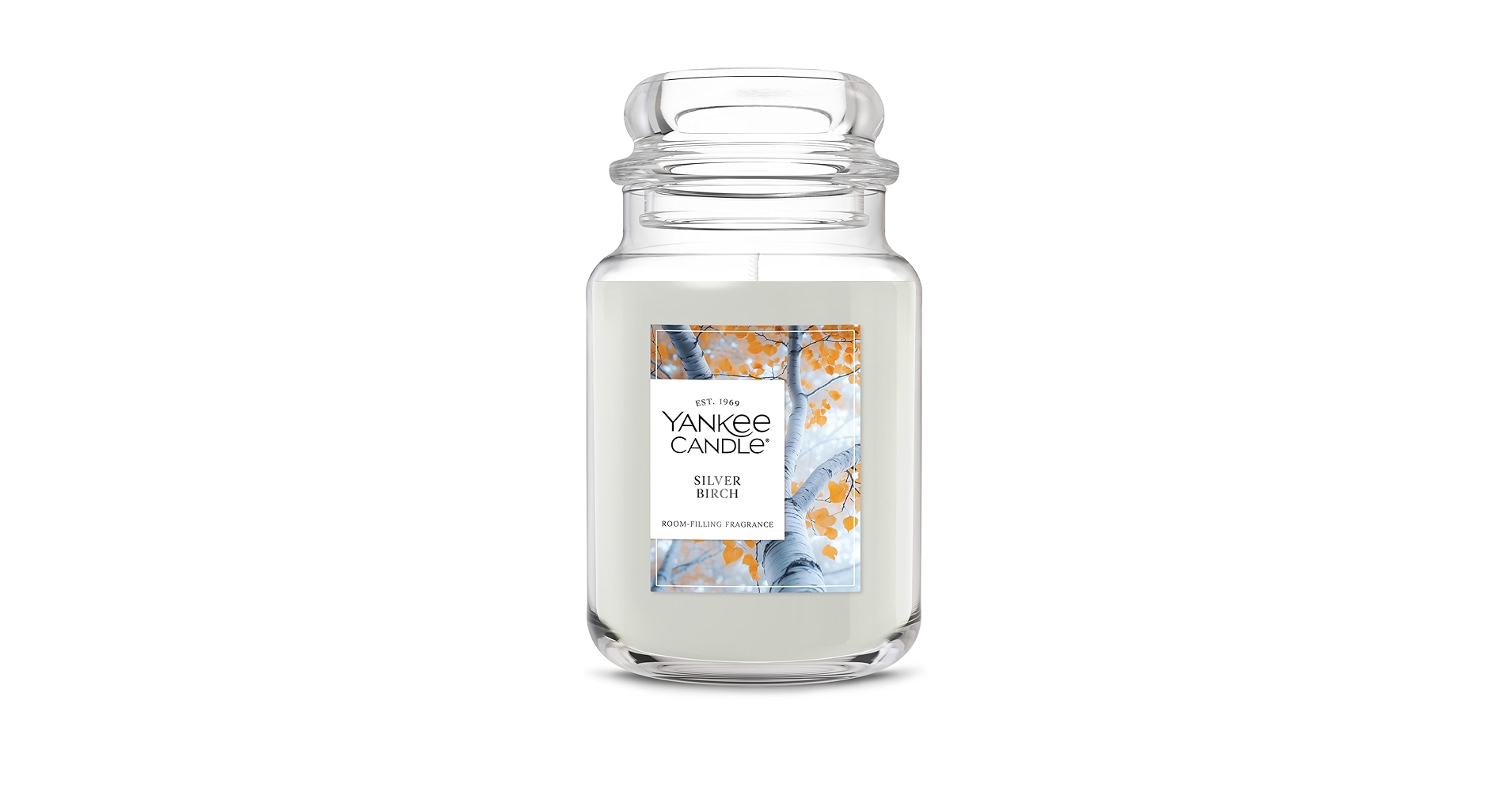 Amazon.com: Yankee Candle, Silver Birch Fall Scented Candle