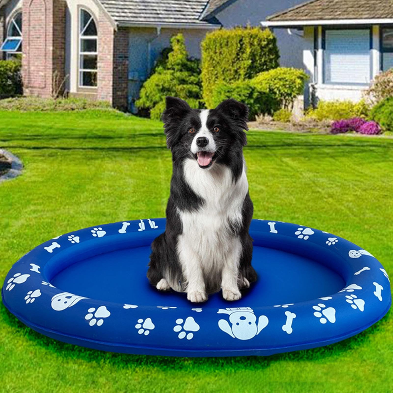 Vasca da Bagno per Cani Galleggiante Antiscivolo e Antigraffio per | Galleggianti per Cani da Lago Per Piscina, Lago, Spiaggia, Fiume, Tubing, Kayak, Addestramento Cuccioli, G