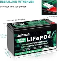 EverExceed 12V 8Ah LiFePO4 Lítium Akkumulátor Napelem Szélenergia Halradarhoz 3
