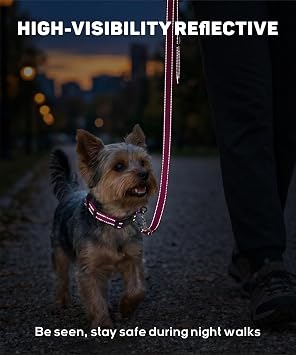 TagMe Reflective Dog Collar for Small Dogs & Puppies Classic Nylon Pet Collar Lightweight Adjustable 20–30cm Quick Release Buckle High Visibility Stitching 1.5 cm Width, Baby Pink