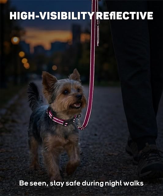 Foto 4 de 8 de TagME Collar Perro Ajustable,Collar Nylon Reflectante,para Caminar Correr Entrenamiento,para Perros…