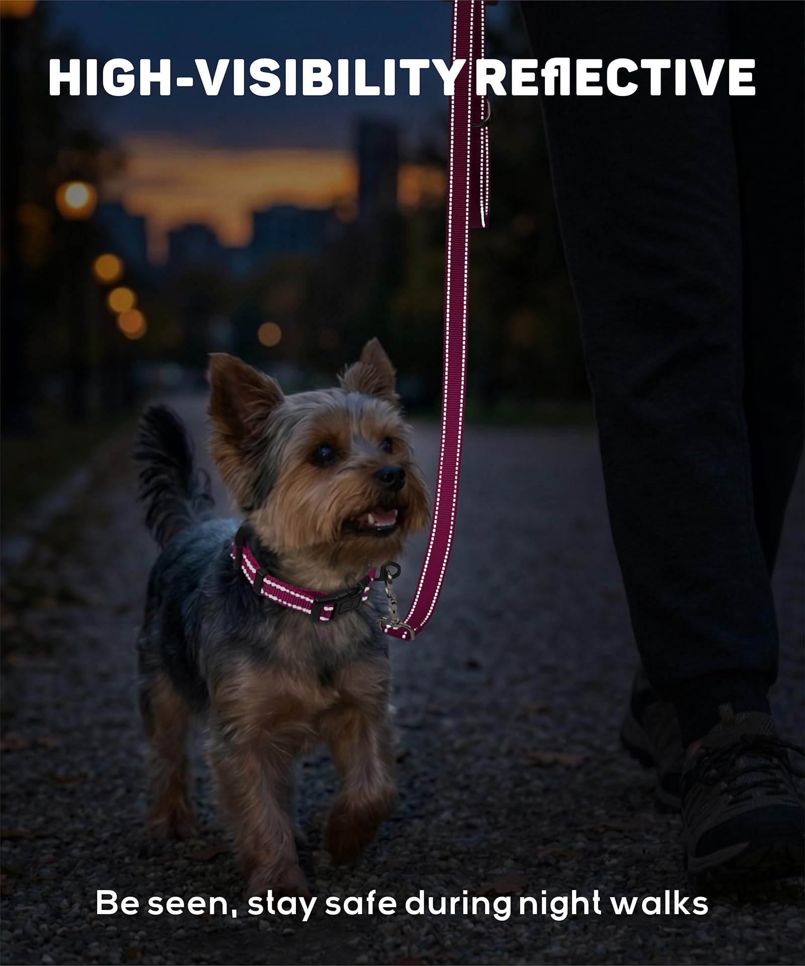 TagME Collar Perro Ajustable,Collar Nylon Reflectante,para Caminar Correr Entrenamiento,para Cachorro,Morado,1.0cm De Ancho — view 4