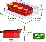 2 Fenêtre de paquet Colibri nourrisseur avec coupe à aspiration forte, Colibouillère en plastique pour l'extérieur, Moat intégré, facile à nettoyer et à refiler (10oz) (2, Rouge)