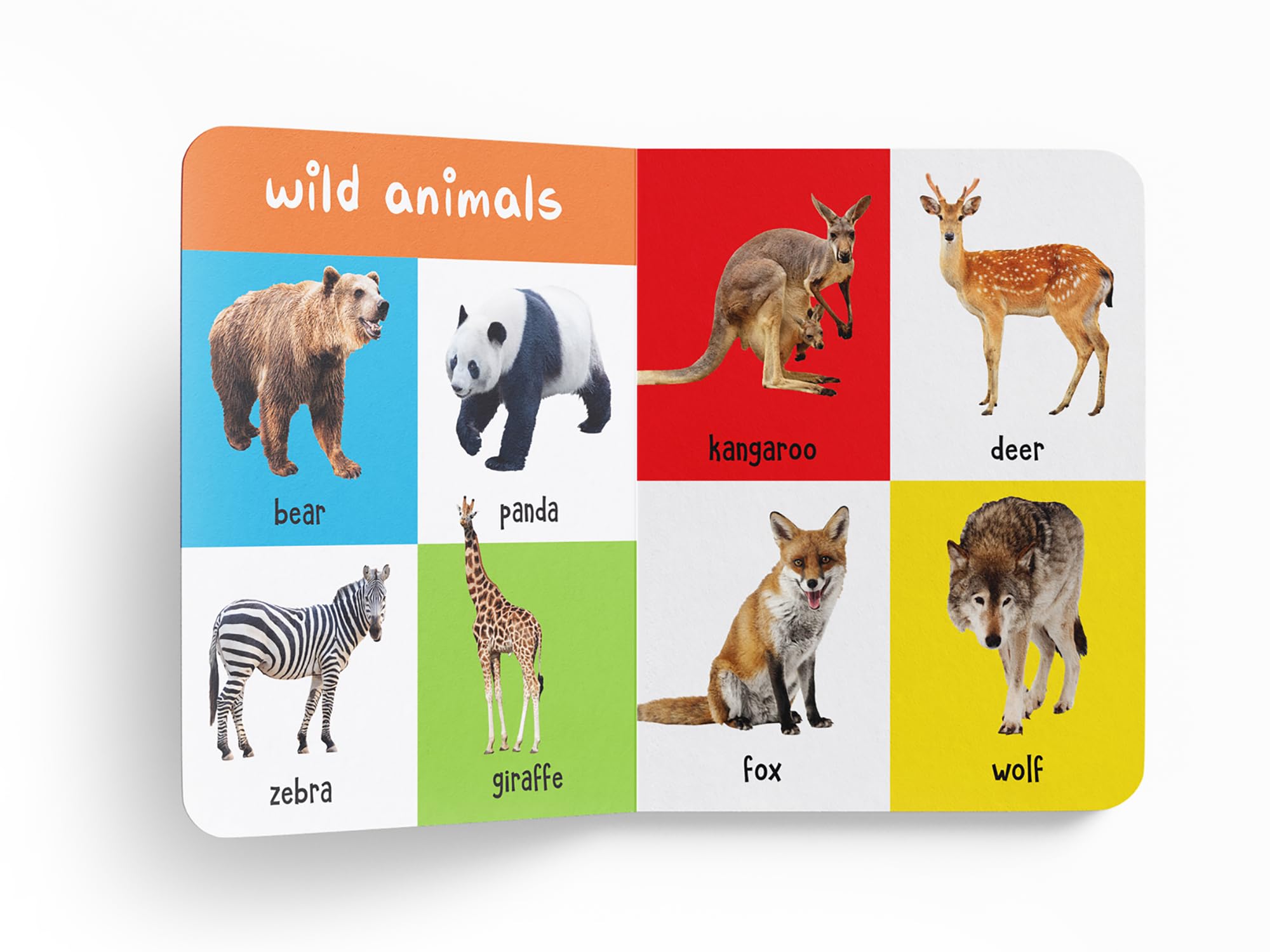 My First 100 Animals And Birds For Kids | Ages 0β5 Years | Board Book | Screen Free & Visual Learning | Wild & Farm Animals | Pets | Birds | Bright Picture Book | Vocabulary Building | Latest Edition 3