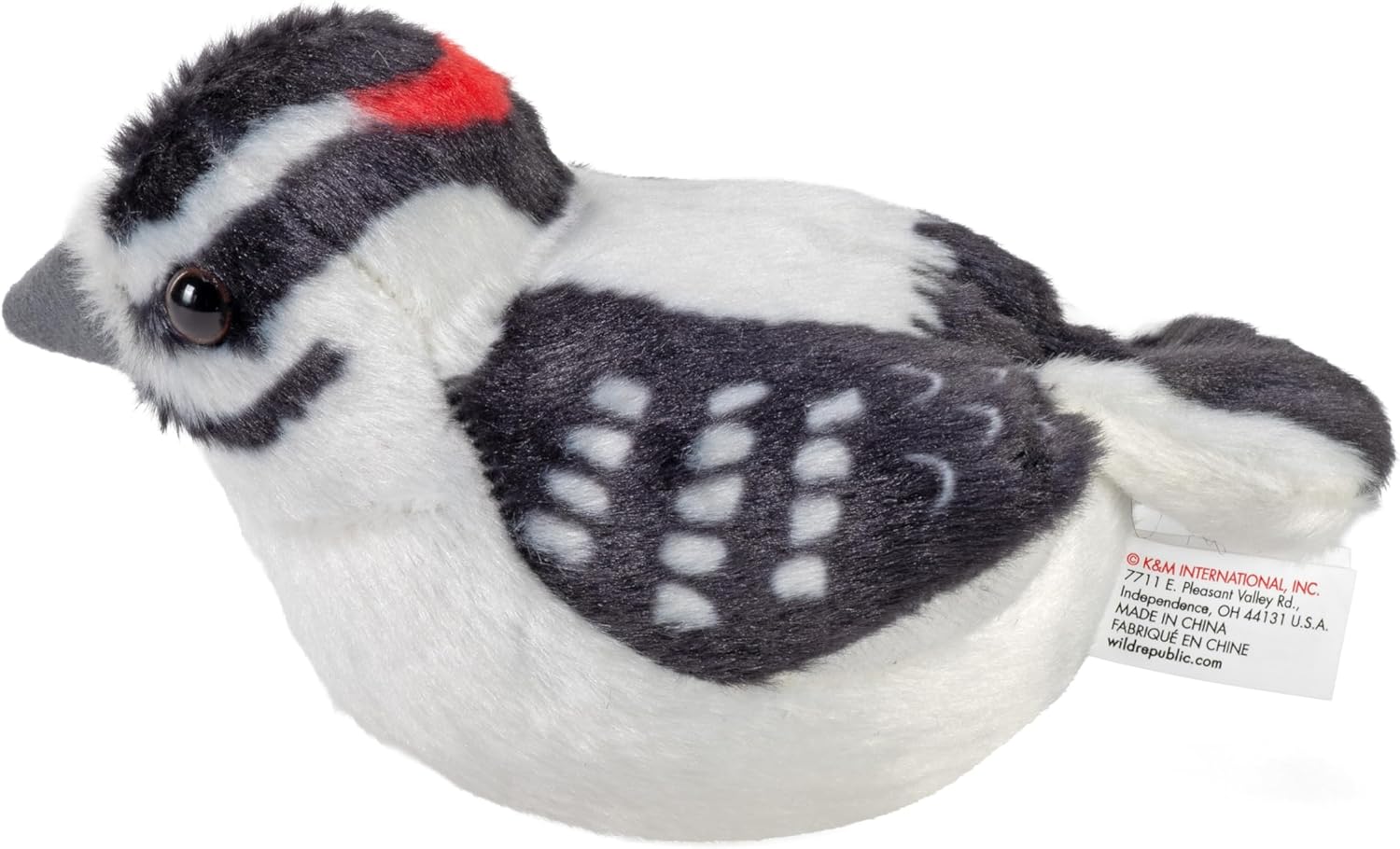 Woodpecker, Downy