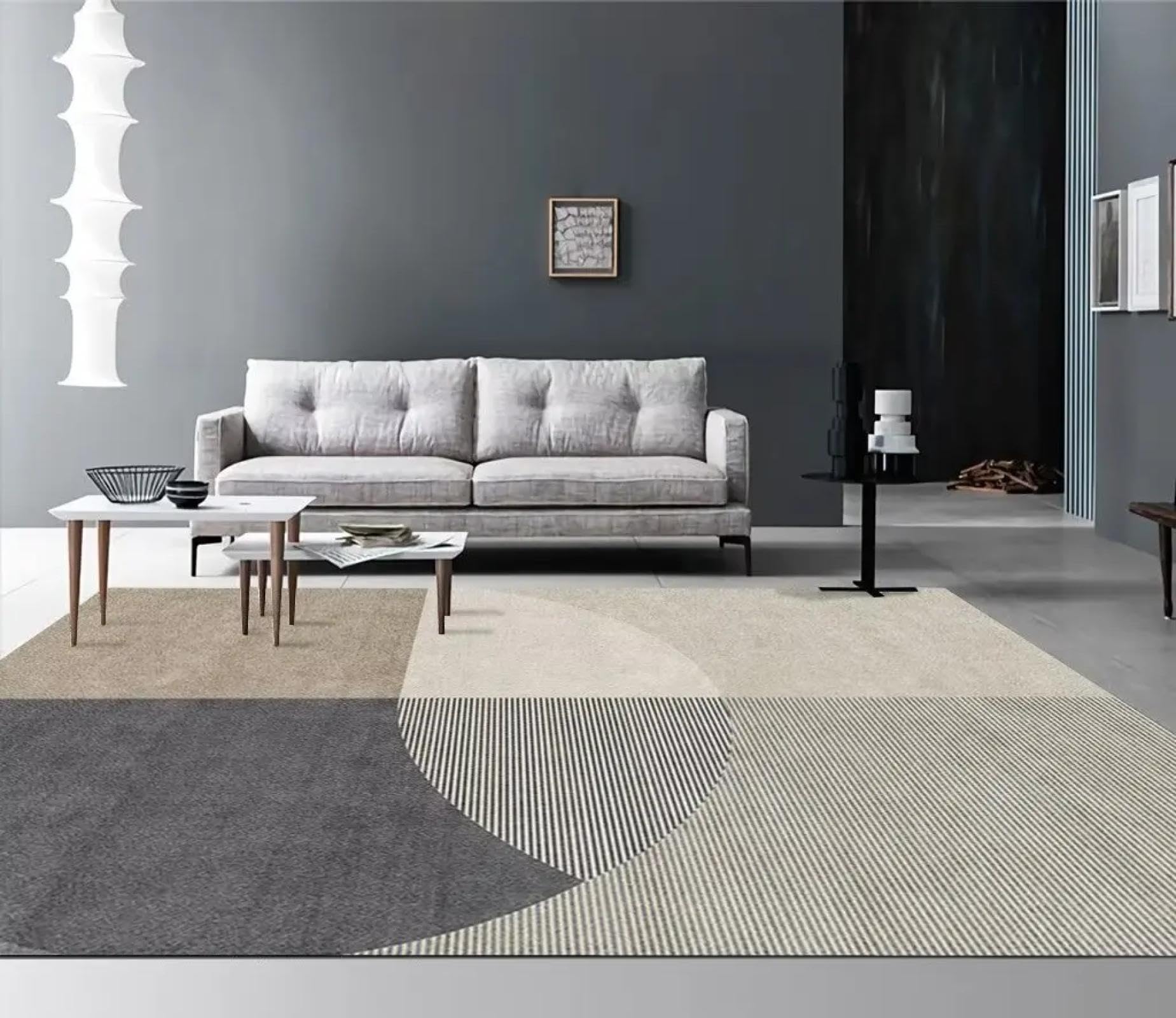 Tapis de salon de luxe lavable fini les peluches grand tapis moderne