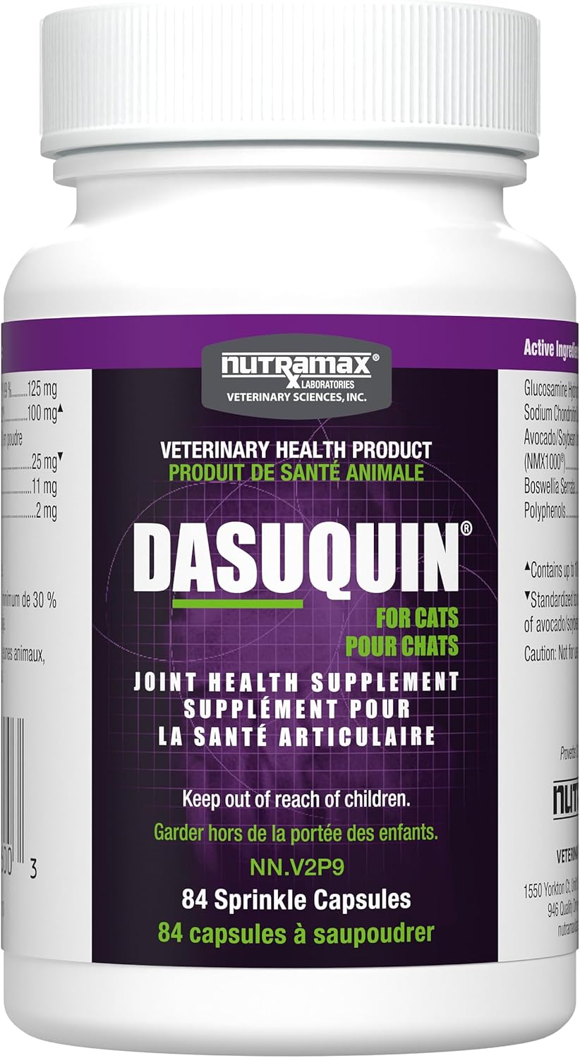 Nutramax Dasuquin® Joint Health Supplement for Cats with Glucosamine