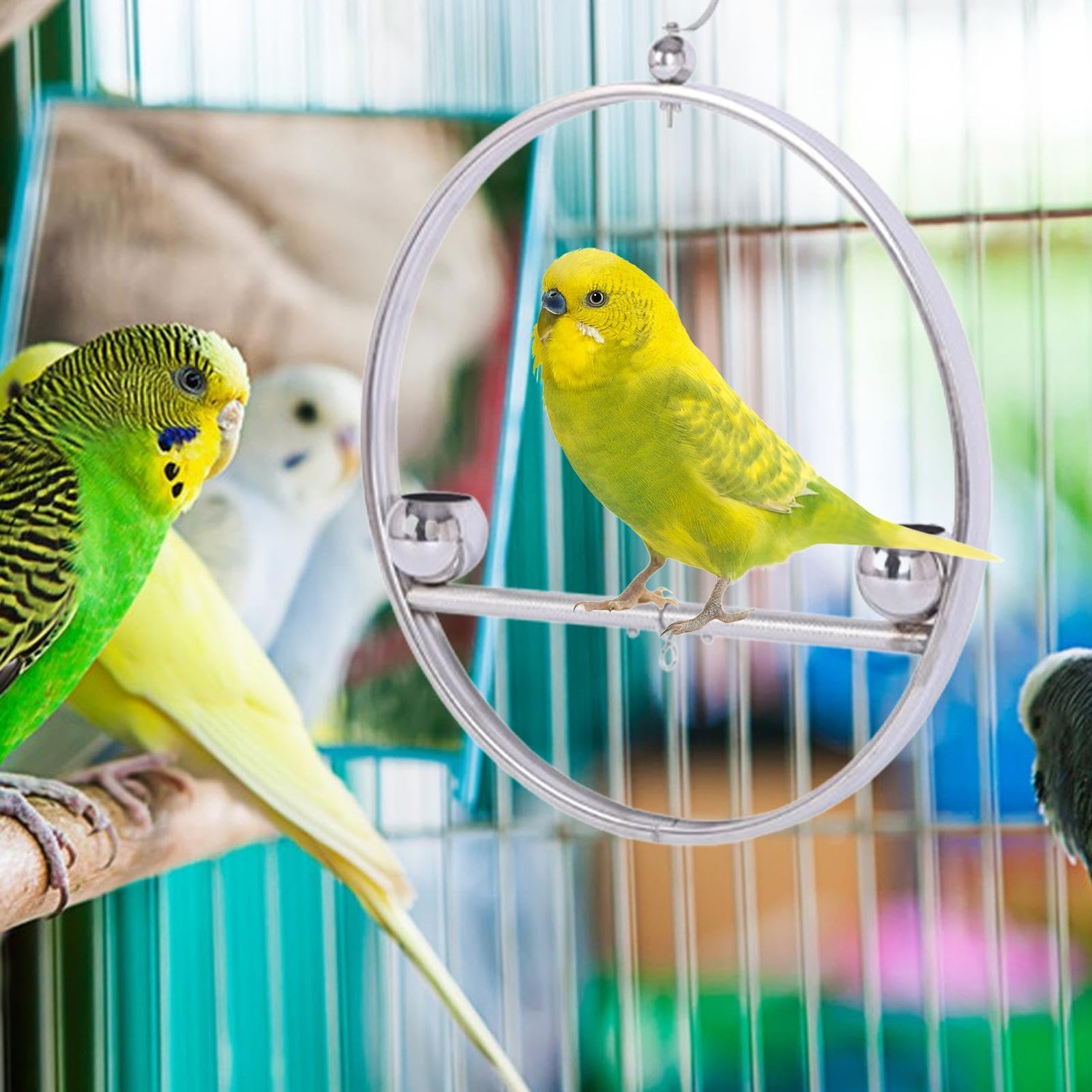 Soporte de metal para loros | Soporte de columpio para loros | Soporte para pájaros con gancho y diseño de doble cuenco, accesorios para mascotas para loros y otros pájaros