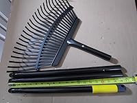 Review Image by Dana Dana