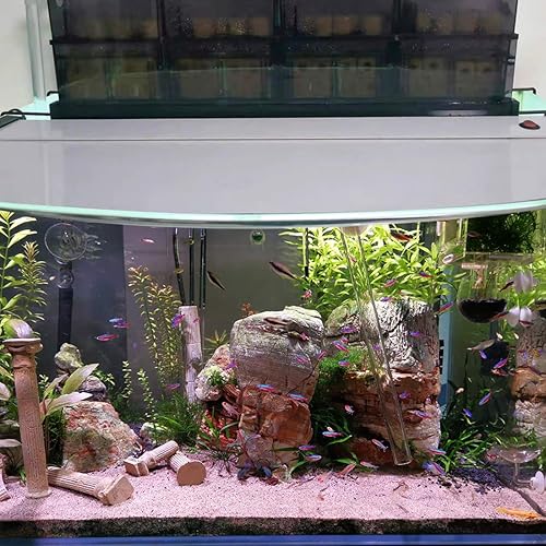 Miniatura 6 de hygger Bloques de medios de filtro de cerámica para acuario de 6.2 pulgadas de largo para tanque de sumidero, estanque, agua salada, acuario,