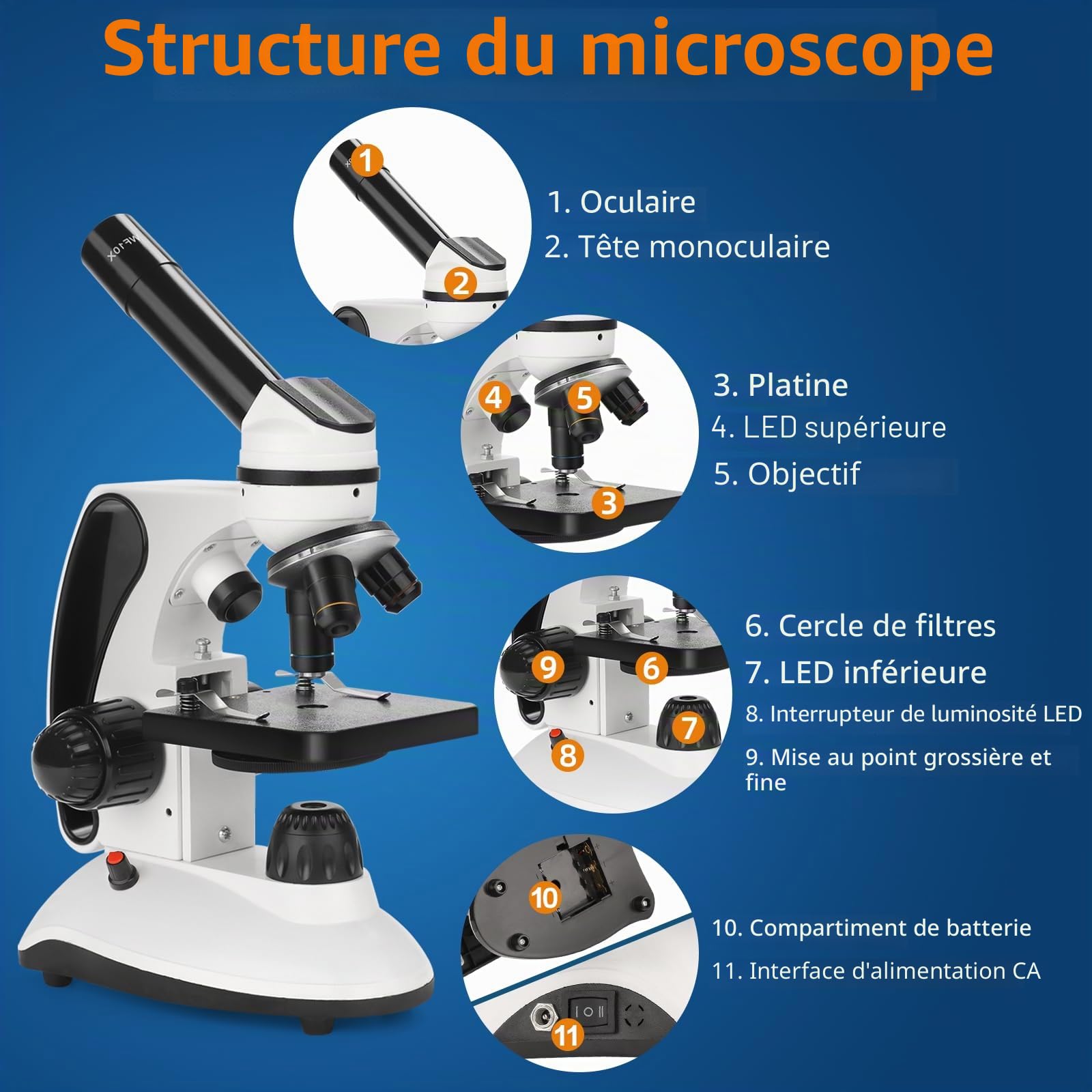 BEBANG 40X-2000X Microscope pour Enfants Adultes, Microscope étudiant à Double éclairage LED avec Kits scientifiques pour la Recherche en Laboratoire, éducation à Domicile