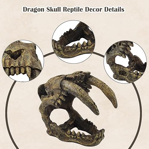 PINVNBY Reptile Resin Dinosaur Skull Decor,Crested Gecko Tank Accessories Hide Artificial Sabertooth Tiger Skull Skeleton Climbing Hideout Cave Landscape Decorations