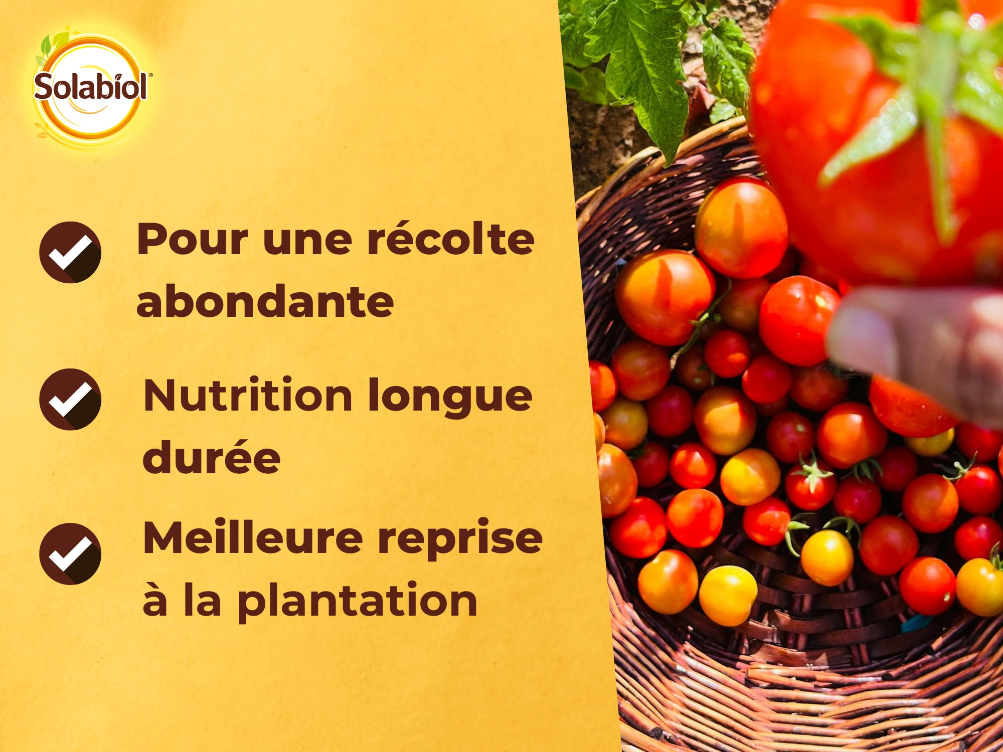 SOLABIOL Engrais Tomates & Légumes Du Soleil - 1,5Kg - Jusqu'à 30 Plants - Nutrition Longue Durée - Meilleure Reprise A La Plantation - Utilisable En Agriculture Biologique SOTOMY15