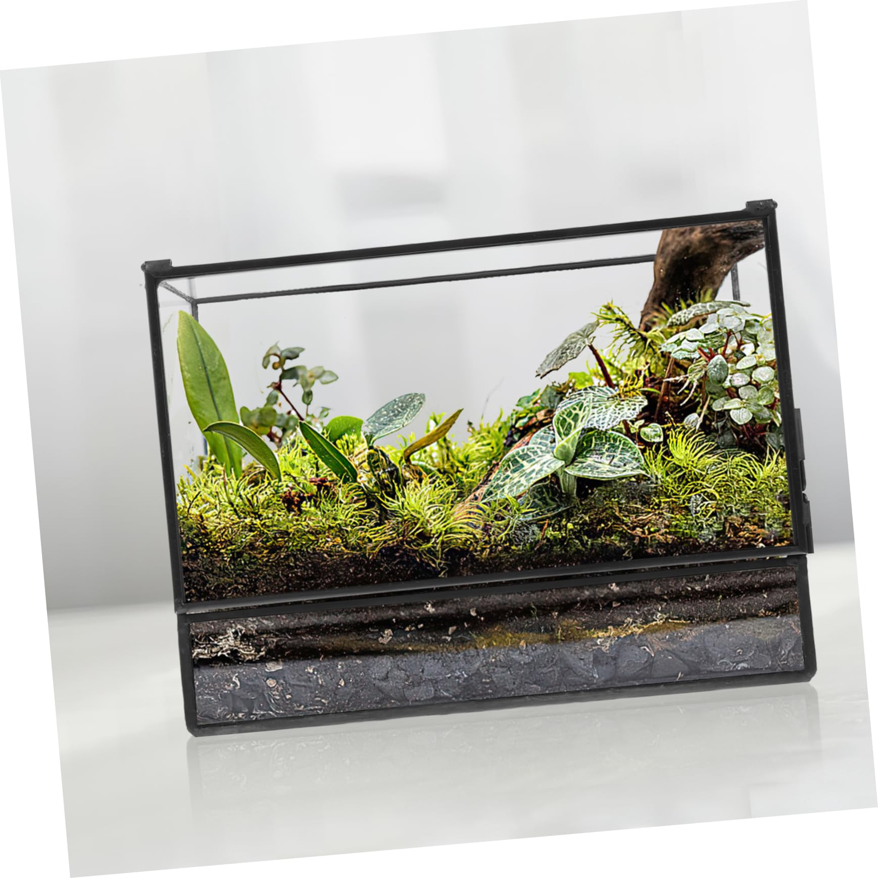 Handgefertigtes Geometrisches Glas Terrarium mit Glatter Oberfläche für Pflanzen und Moos Kleines Terrarium für Wohnzimmer und Tischdekoration