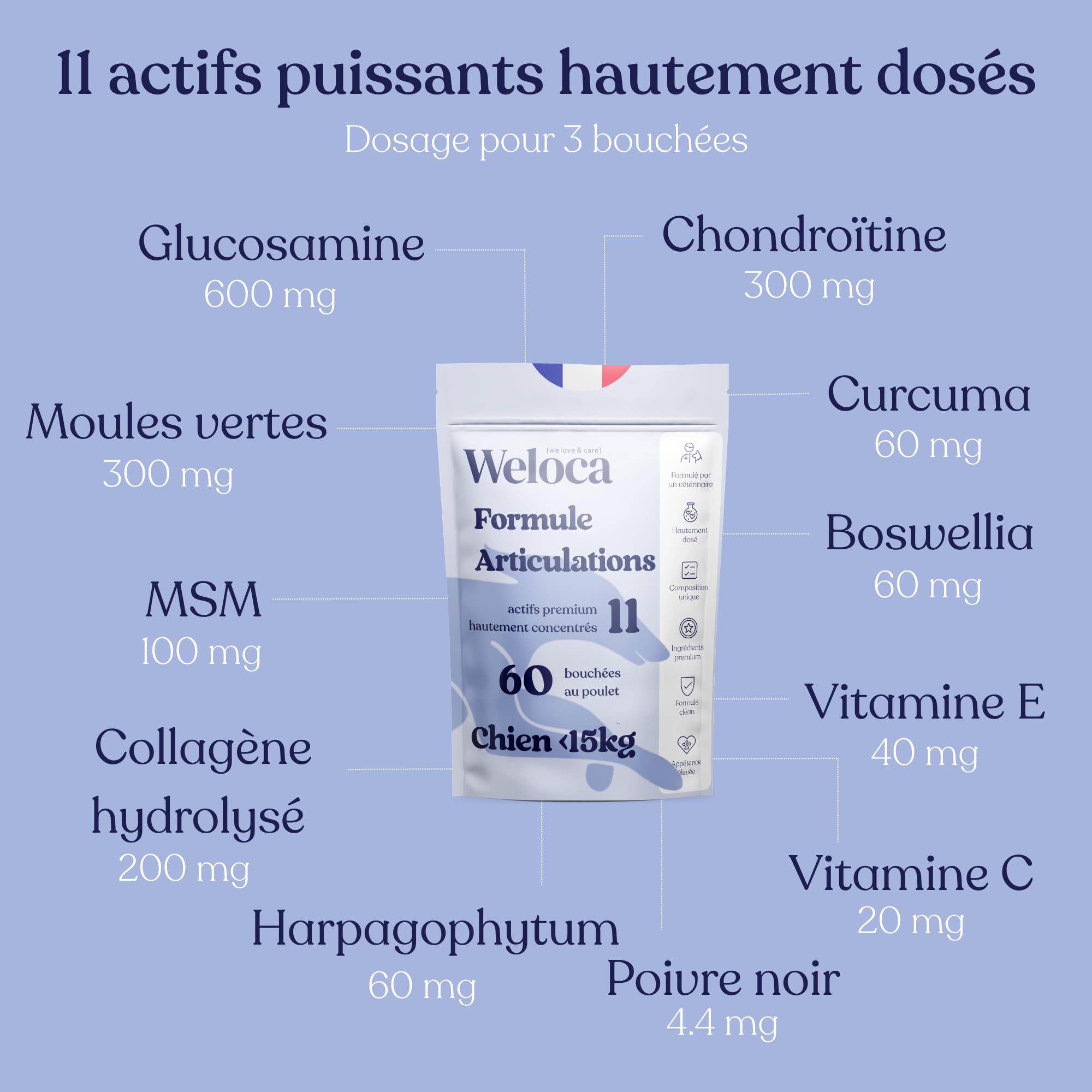 Arthrose Chien - 60 bouchées - 11 Actifs puissants (Glucosamine Chondroïtine, MSM, Moule Verte, harpagophytum) - Anti inflammatoire - Complement Alimentaire Chien - Nouveau Format