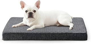 JOEJOY Orthopädisches Hundebett Kleine Hunde, Hundekissen Waschbar Flauschig Hundematte, Hundematratze für Kleine Hunde, rutschfeste Unterseite, 61x43x9cm