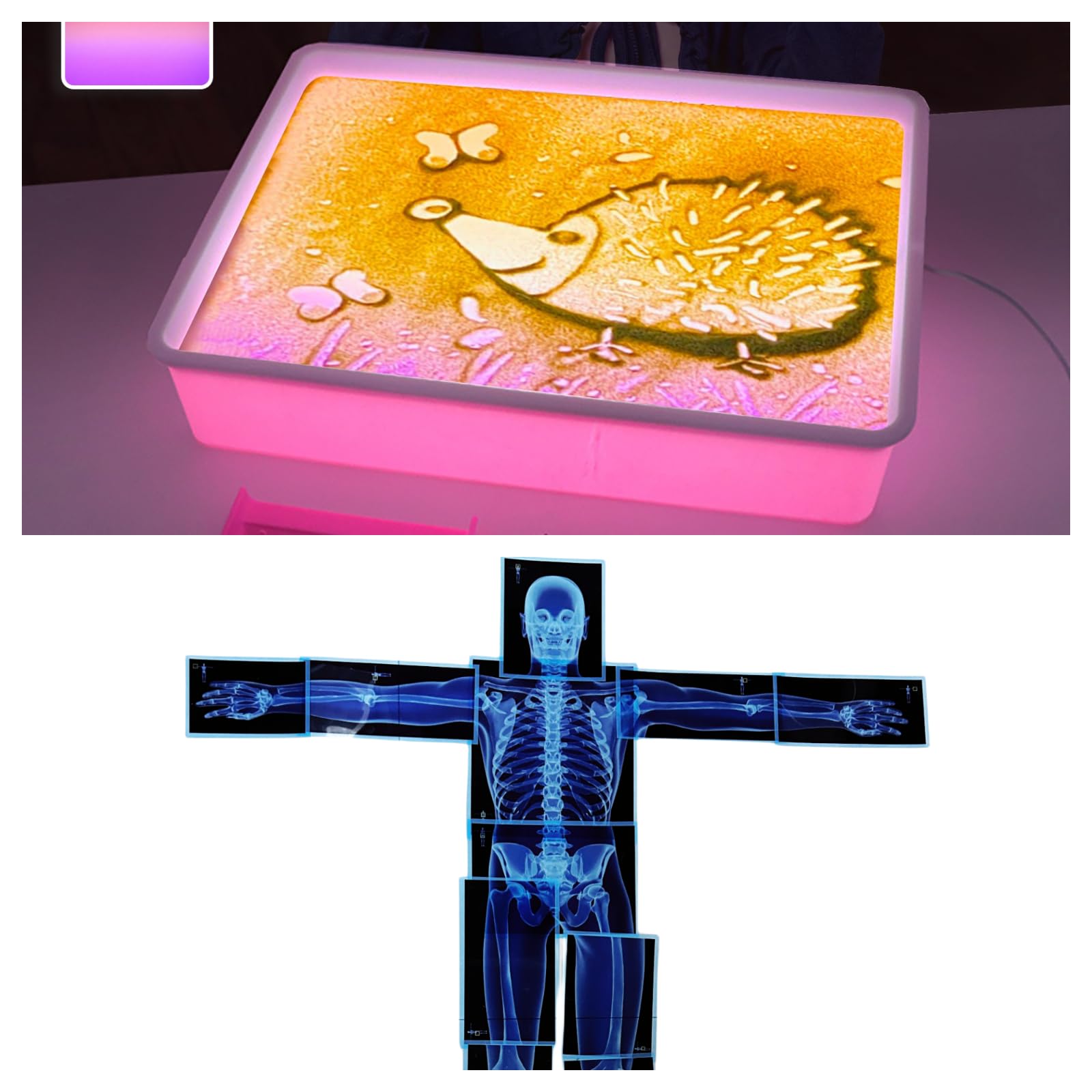 Light Table for Kids | Light Table Manipulatives Preschool | Transparent Light Table Toys | Light Table for Kids Sensory 3 Modes,16" (Pink)+Human Body X-Ray Puzzle Kit - Engaging Educational Tool