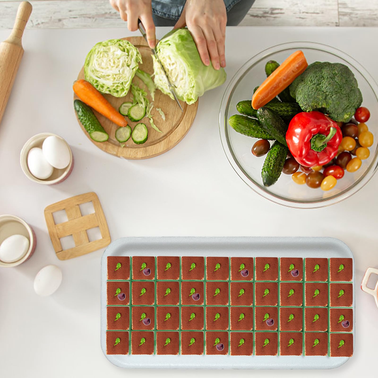 5 Sets Gefriertrockner-Schalen-Trennwände für Harvest Right, Mittelgroße Lebensmittel-Schalen-Trennwände mit Reinigungsbürste für Süßigkeiten Obst Gemüse Gefriertrockner-Zubehör