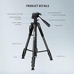 NEEWER BASICS 74" Video Tripod Monopod, 3 Way Pan Tilt Head, Remote, Overhead Camera Mount, Horizontal Central Axis, Phone Holder Compatible with iPhone DSLR Telescope Projector, Max Load 17.6lb, TP05