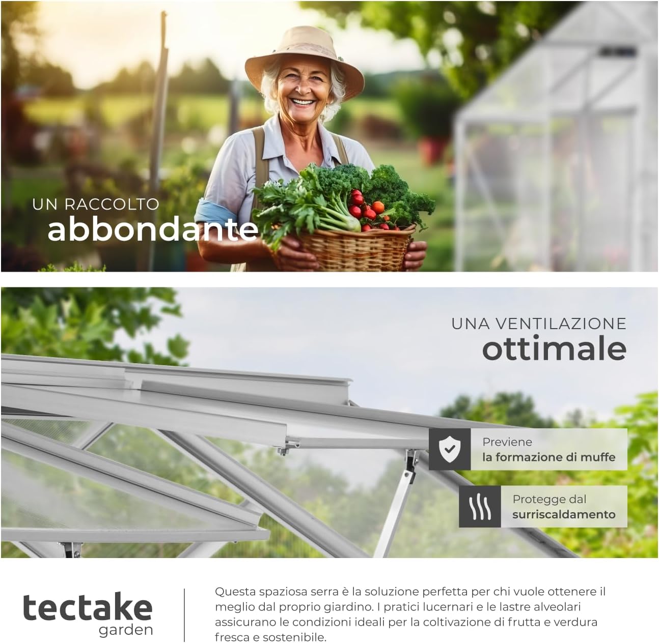 Greenhouse roof window open for ventilation, with text highlighting optimal ventilation benefits