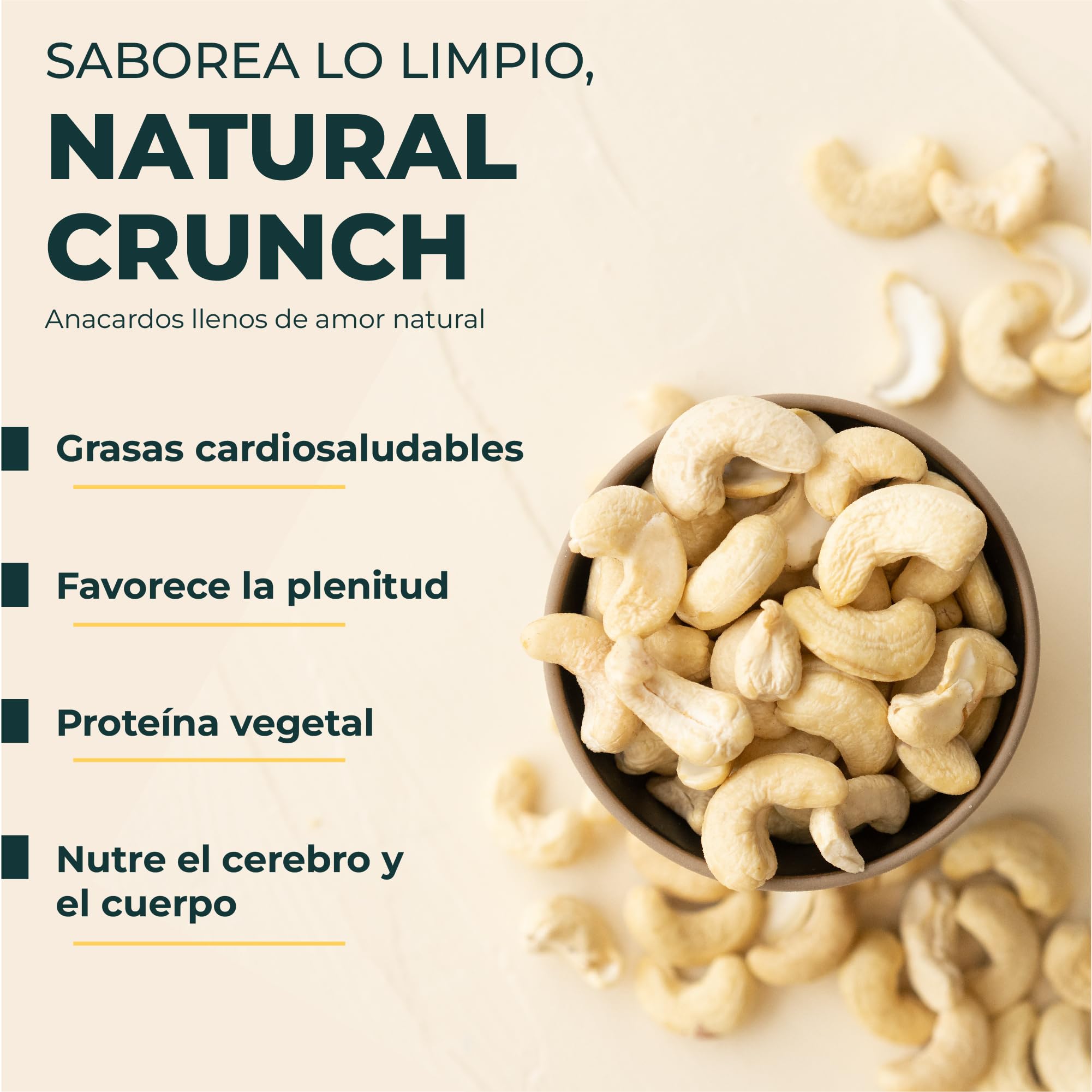 FOODIN Anacardos Orgánicos – Frutos Secos Naturales, Crudos, Sin Sal, Sin Gluten, Veganos – Fuente de Proteína y Grasas Saludables – Anacardos Enteros Ecológicos para una Alimentación Sana, (2x500g)