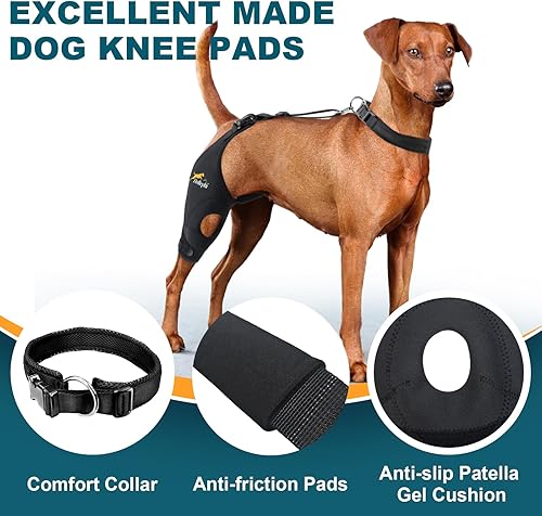 Miniatura 18 de Rodillera para perro para pierna trasera desgarrada del ligamento cruzado anterior, soporte para luxación de rótula u osteoartritis, lesiones