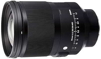 Amazon.com : Sigma 35mm f/1.2 DG DN Art Lens for Sony E Lens