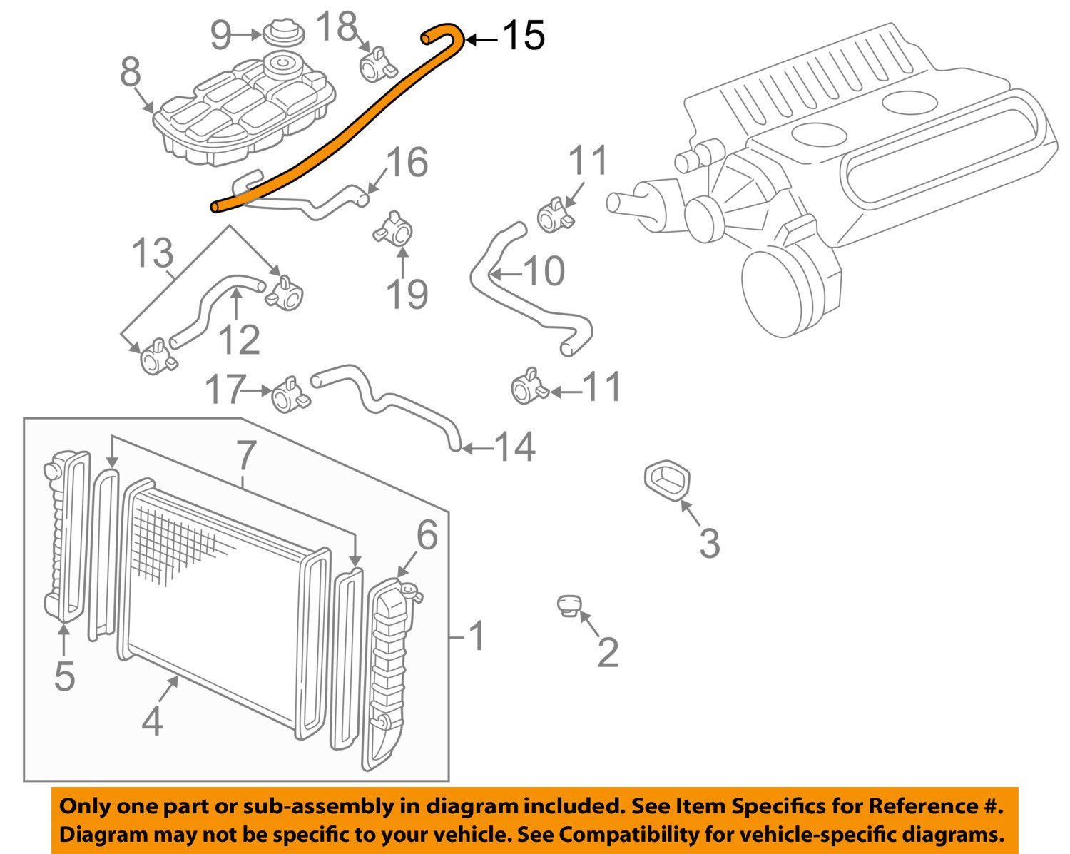 Amazon.com: General Motors 10408463, Radiator Coolant Hose  