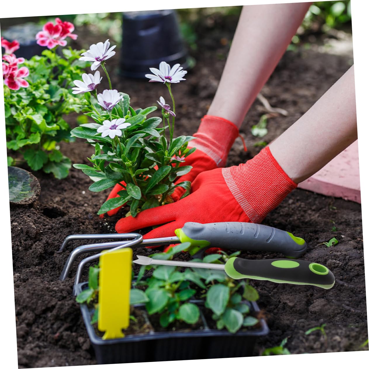 jojofuny 4piezas Herramienta De Jardinería Manual Para Deshierbe Extractor De Plantas Multiusos Mango Ergonómico Para Facilitar El Trabajo El Jardín