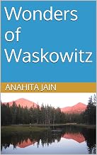 Wonders of Waskowitz