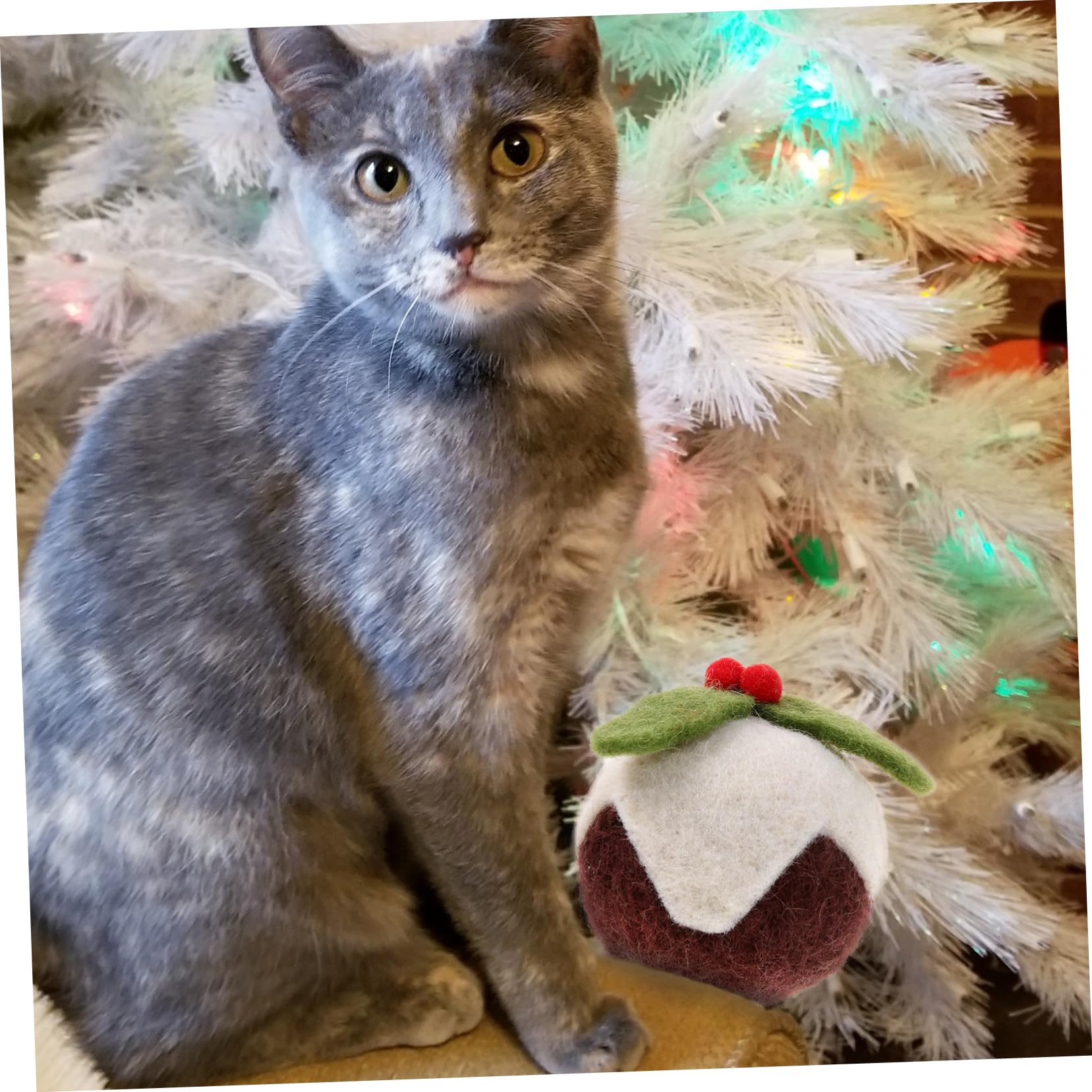 Happyyami 9stücke Interaktive Katzenspielzeuge Aus Wolle Weihnachts-kratzbälle Für Katzen Lustige Und Unterhaltsame Spielzeuge Für Aktive Haustiere Für Weihnachtszeit