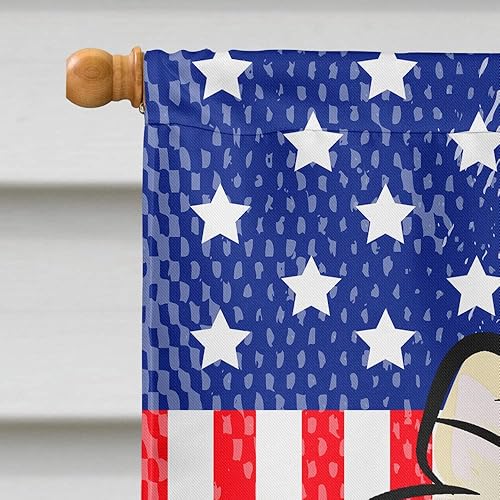 Vista 355 de Caroline's Treasures BB2171GF American Flag and Border Collie Garden Flag Mailbox Flag Decorative Yard Flag Banner Outside Patio Artwork Yard Flower