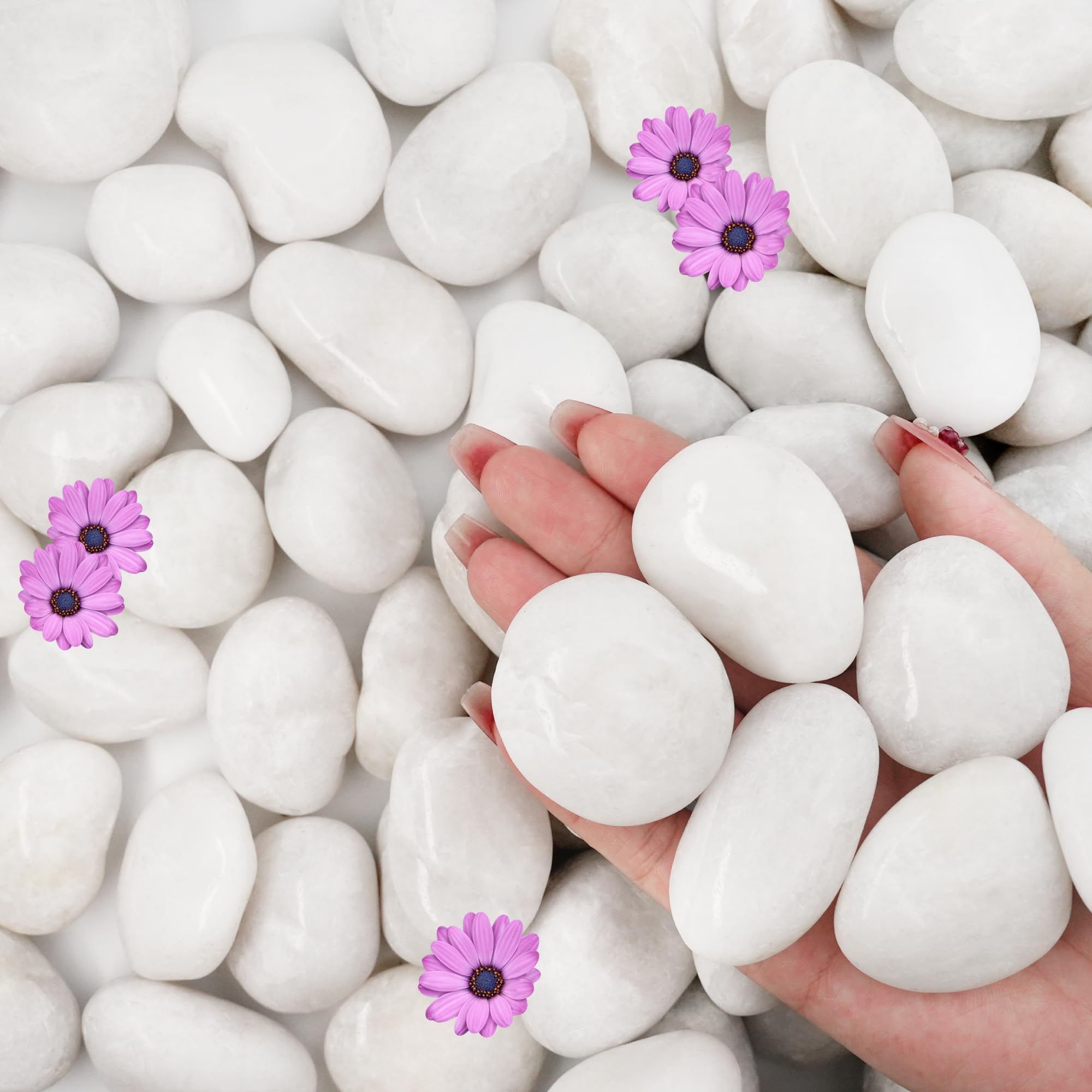 Smooth Pebbles for Aquarium: Enhance Beauty & Boost Fish Health