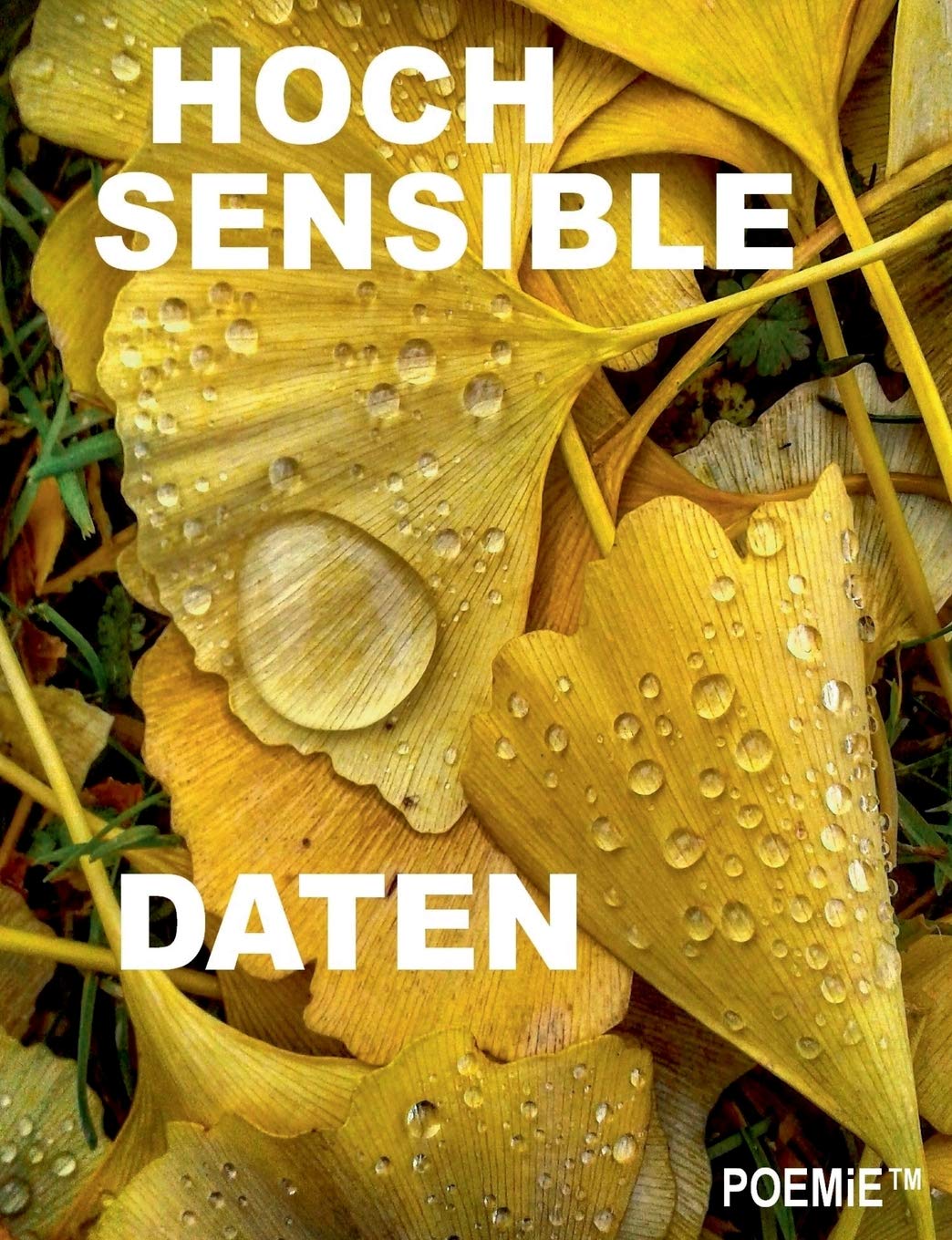 Hochsensible Daten: Ausgewählte Kurzprosa 1994 - 2020