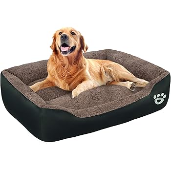 chihuahua clothes ebay