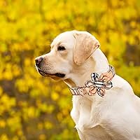 Vista 7 de Collares para perros pequeños, medianos y grandes, collar de perro hembra con lazo de flor, collar de cachorro, collares ajustables para mascotas