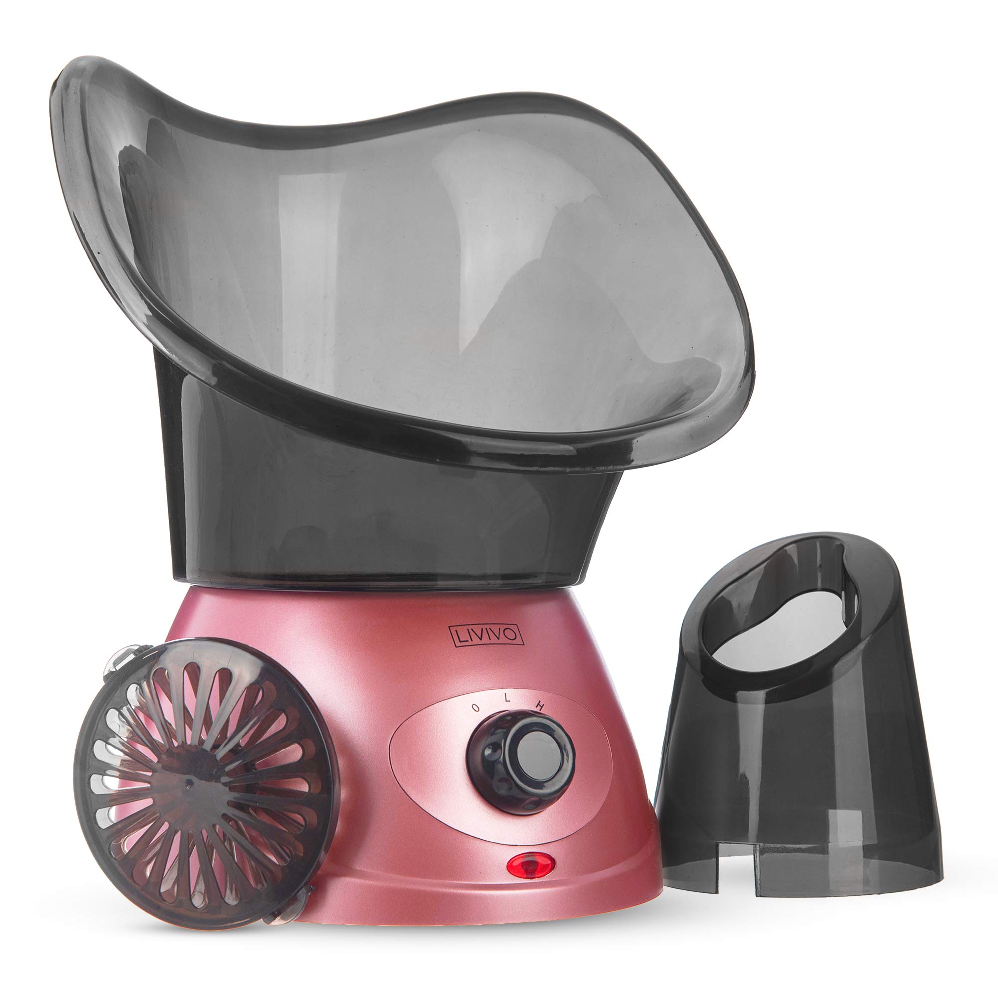 Buy Fineway Electric Spa Pores Steam Sprayer Skin Sauna Beauty Facial
